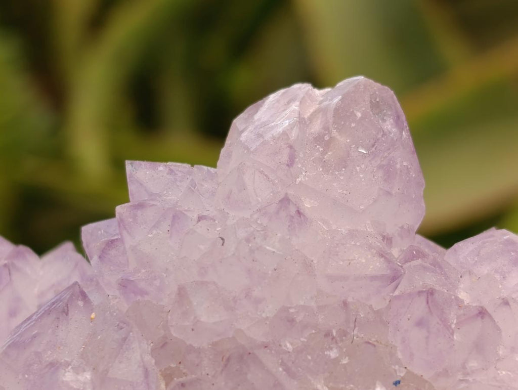 Natural Sunburst Amethyst Spirit Clusters x 6 From Boekenhouthoek, South Africa