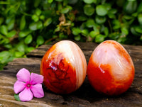 Polished Carnelian Agate Gemstone Eggs x 12 From Madagascar