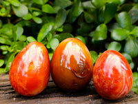 Polished Carnelian Agate Gemstone Eggs x 12 From Madagascar