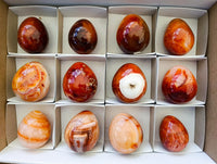 Polished Carnelian Agate Gemstone Eggs x 12 From Madagascar