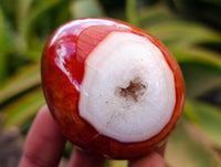Polished Carnelian Agate Gemstone Eggs x 12 From Madagascar