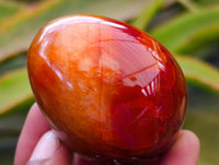 Polished Carnelian Agate Gemstone Eggs x 12 From Madagascar