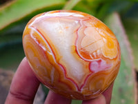 Polished Carnelian Agate Gemstone Eggs x 12 From Madagascar