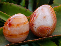 Polished Carnelian Agate Gemstone Eggs x 12 From Madagascar