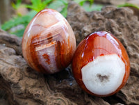 Polished Carnelian Agate Gemstone Eggs x 12 From Madagascar