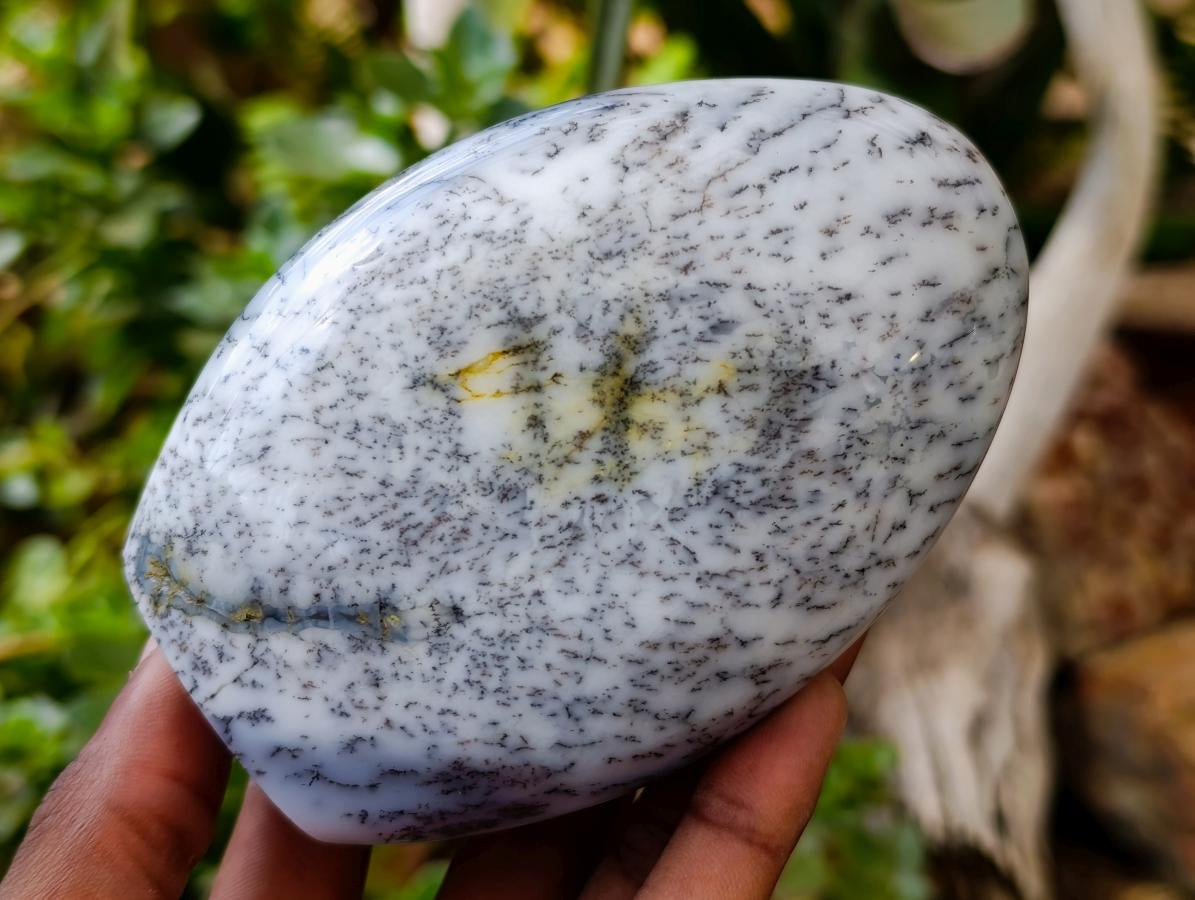 Polished Dendritic Opal Standing Free Forms x 3 From Moralambo, Madagascar