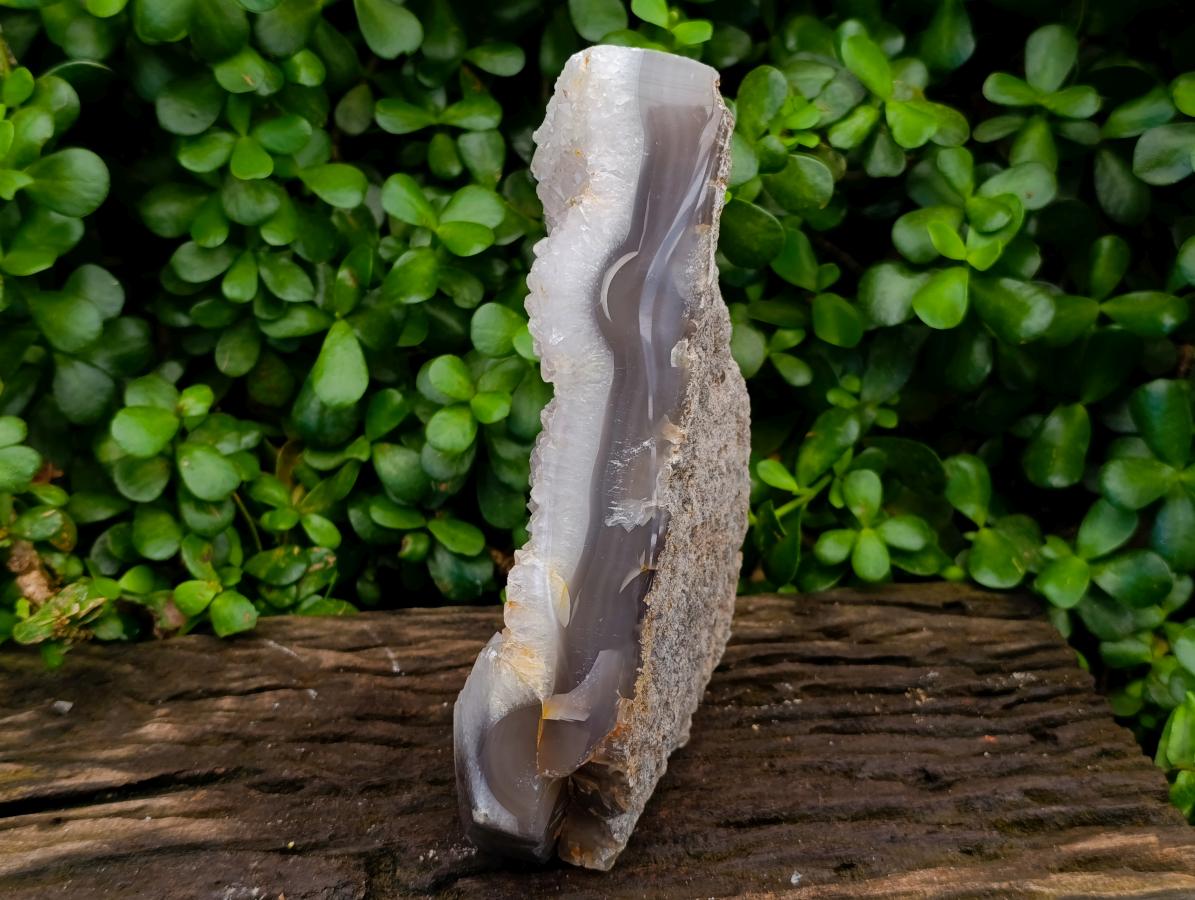 Polished Agate with Crystalline Centre Display Crystal x 1 From Madagascar