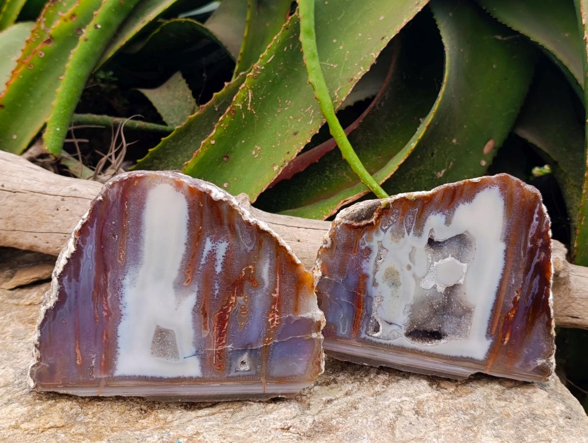 Polished On One Side Agate Pair x 2 From Maintirano, Madagascar