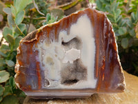 Polished On One Side Agate Pair x 2 From Maintirano, Madagascar