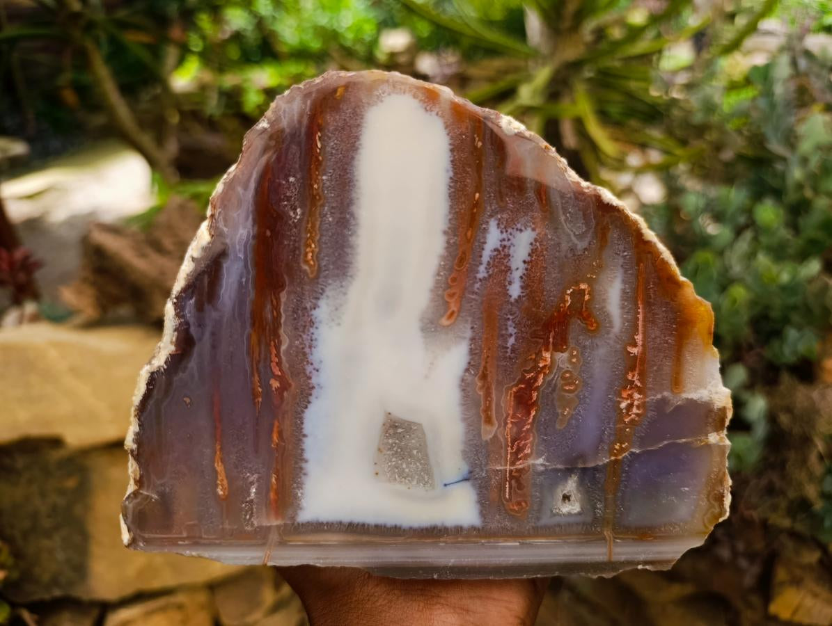Polished On One Side Agate Pair x 2 From Maintirano, Madagascar