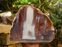 Polished On One Side Agate Pair x 2 From Maintirano, Madagascar