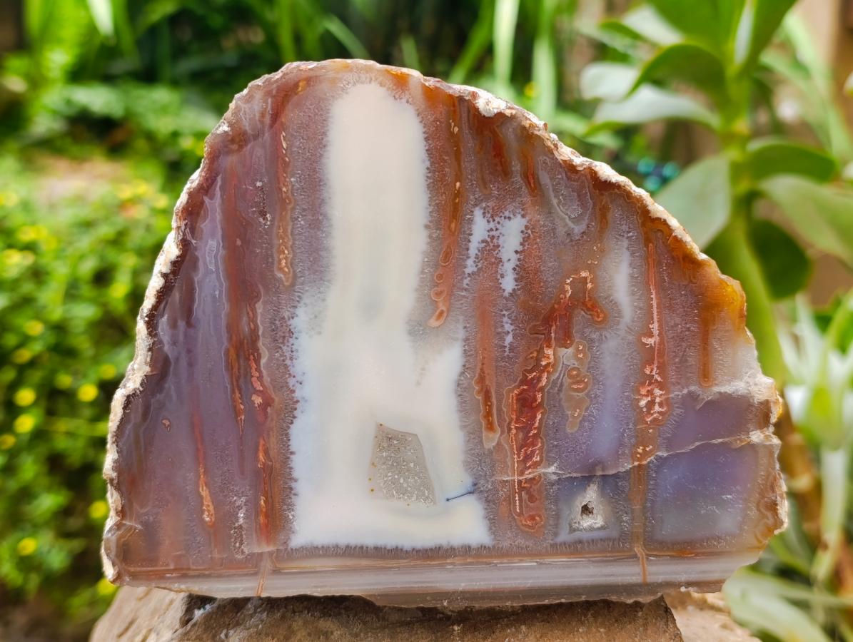Polished On One Side Agate Pair x 2 From Maintirano, Madagascar