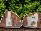 Polished On One Side Agate Pair x 2 From Maintirano, Madagascar