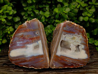 Polished On One Side Agate Pair x 2 From Maintirano, Madagascar