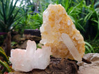 Natural Mixed Quartz Crystal Clusters x 5 From Madagascar