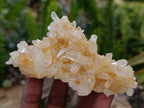 Natural Mixed Quartz Crystal Clusters x 5 From Madagascar