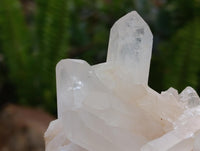 Natural Mixed Quartz Crystal Clusters x 5 From Madagascar