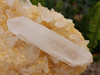 Natural Mixed Quartz Crystal Clusters x 5 From Madagascar