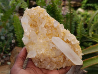 Natural Mixed Quartz Crystal Clusters x 5 From Madagascar