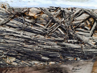 Polished Rare Black Tourmalinated Quartz Crystals x 6 From Madagascar