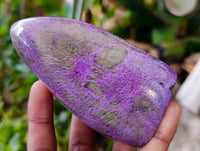 Polished Stichtite Standing Free Forms x 2 From Barberton, South Africa