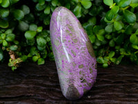 Polished Stichtite Standing Free Forms x 2 From Barberton, South Africa