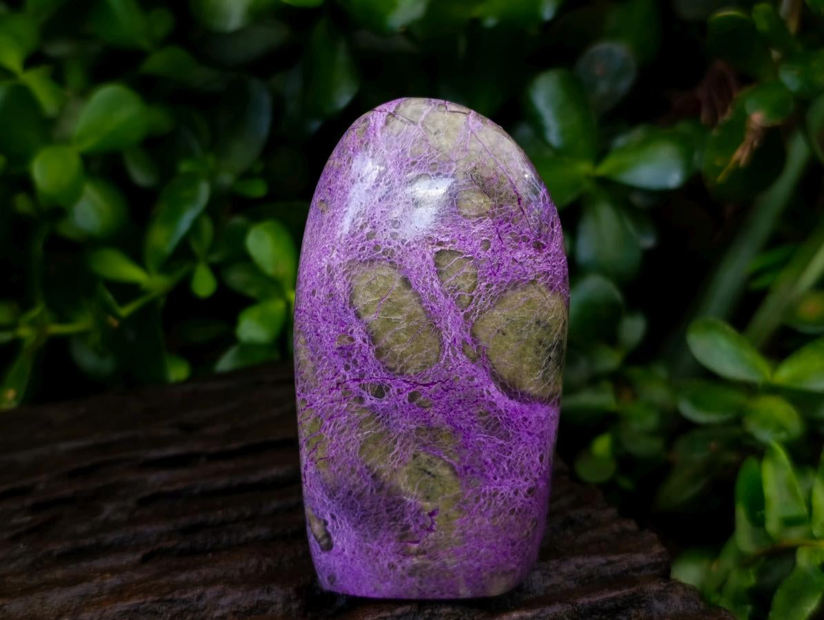 Polished Stichtite Standing Free Forms x 2 From Barberton, South Africa