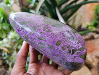 Polished Stichtite Standing Free Forms x 2 From Barberton, South Africa