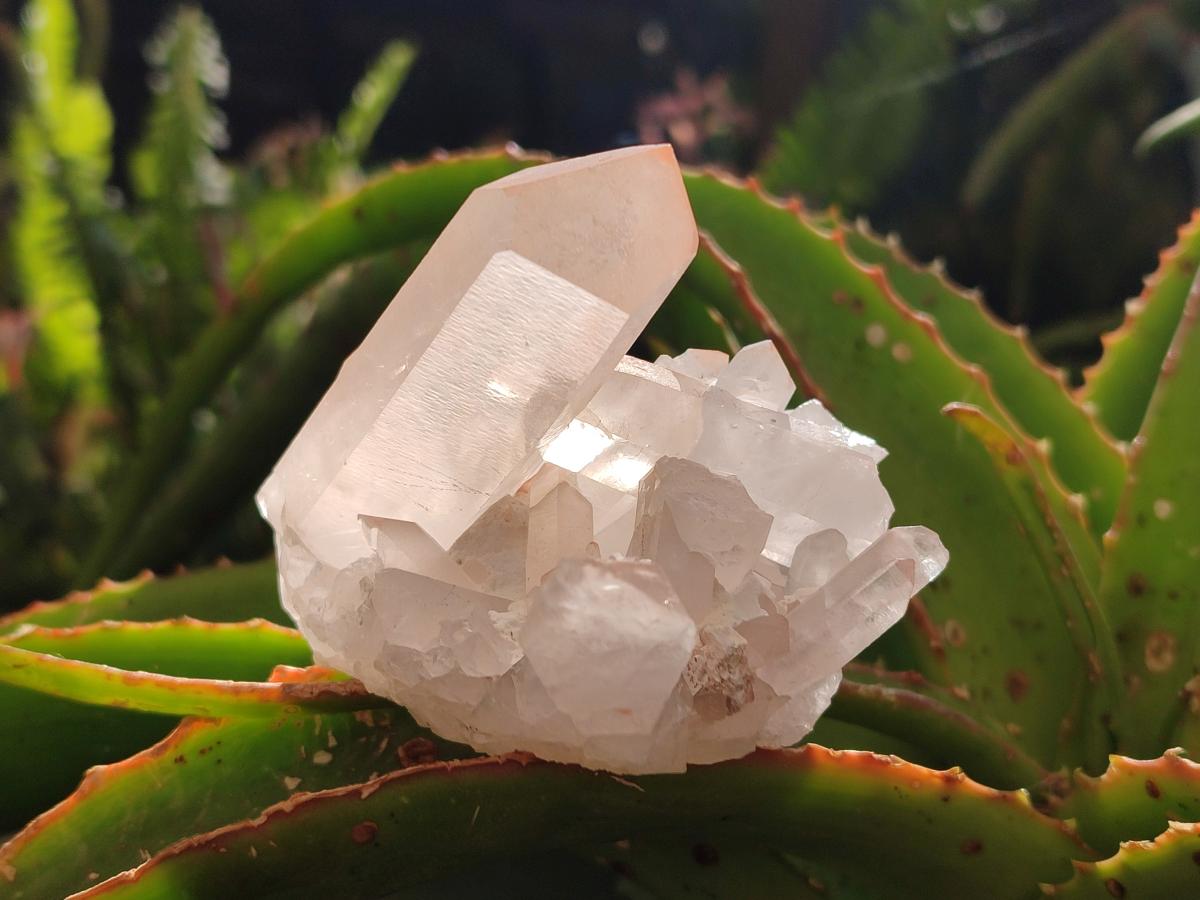 Natural Mixed Quartz Crystal Clusters x 12 From Madagascar
