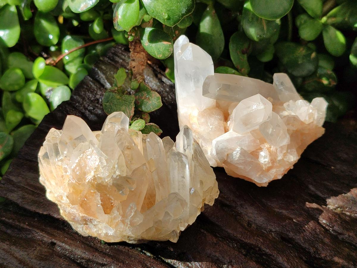 Natural Mixed Quartz Crystal Clusters x 12 From Madagascar