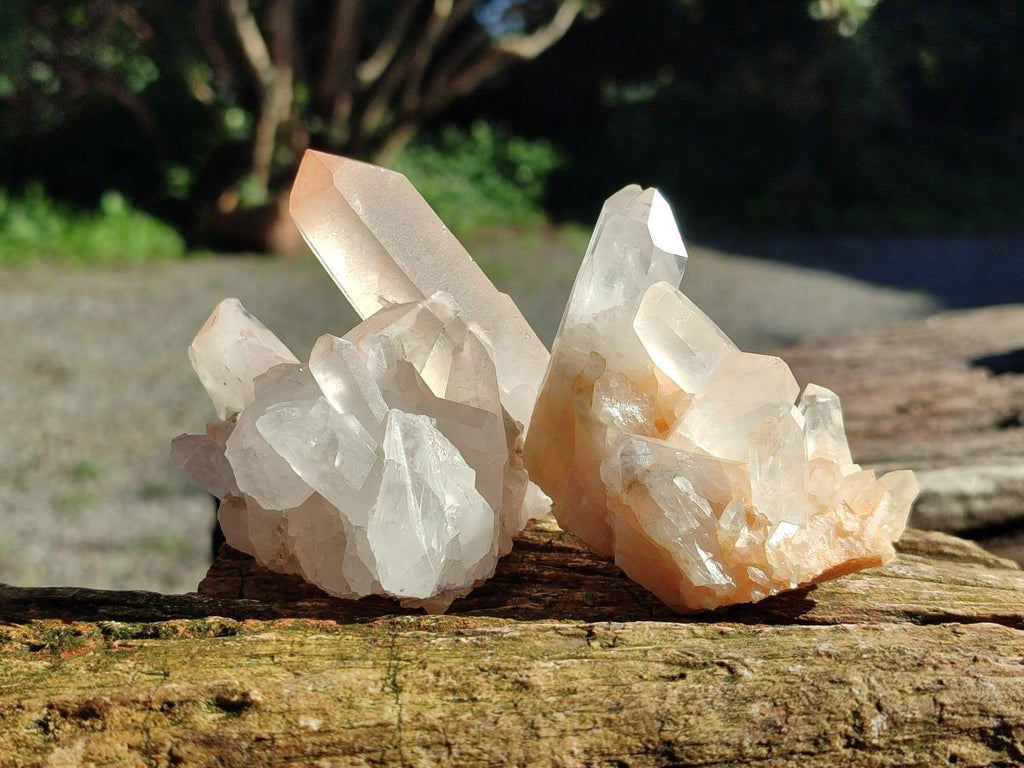Natural Mixed Quartz Crystal Clusters x 12 From Madagascar