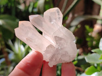 Natural Mixed Quartz Crystal Clusters x 12 From Madagascar