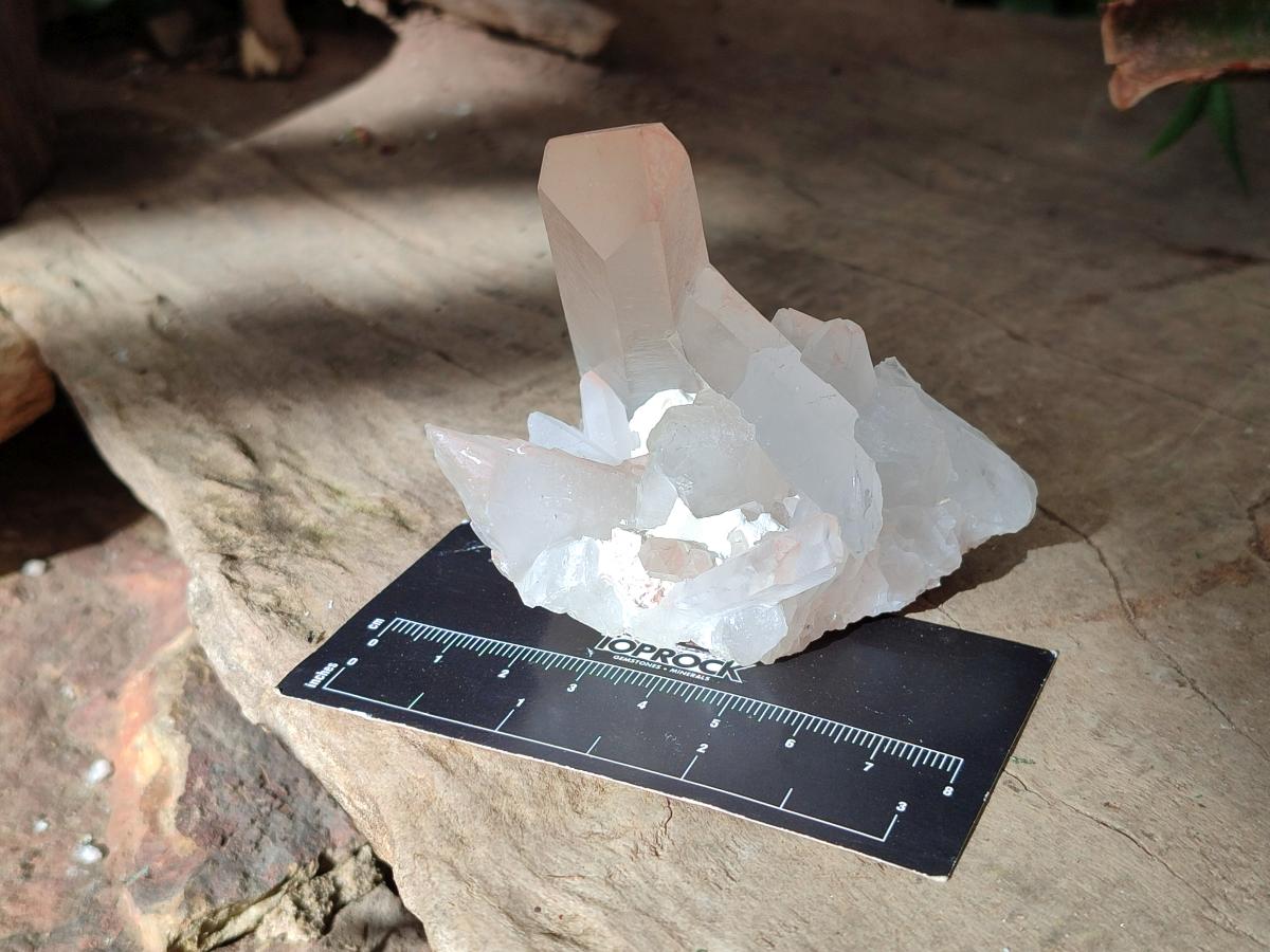 Natural Mixed Quartz Crystal Clusters x 12 From Madagascar