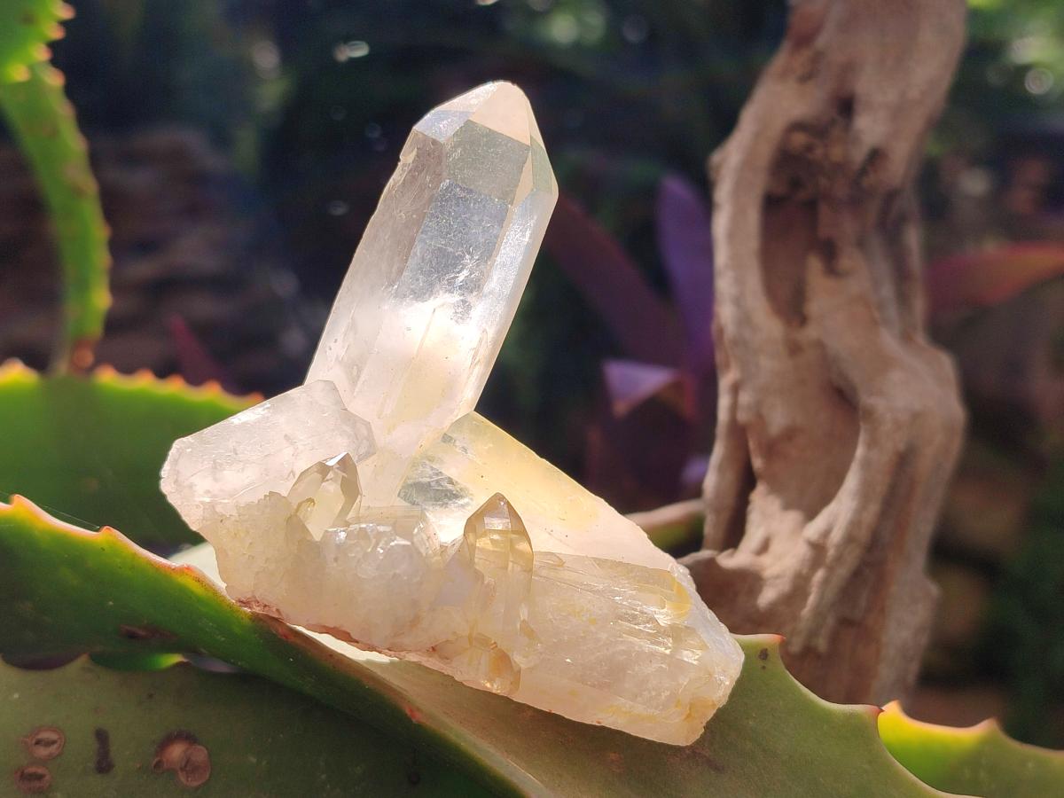 Natural Mixed Quartz Crystal Clusters x 12 From Madagascar