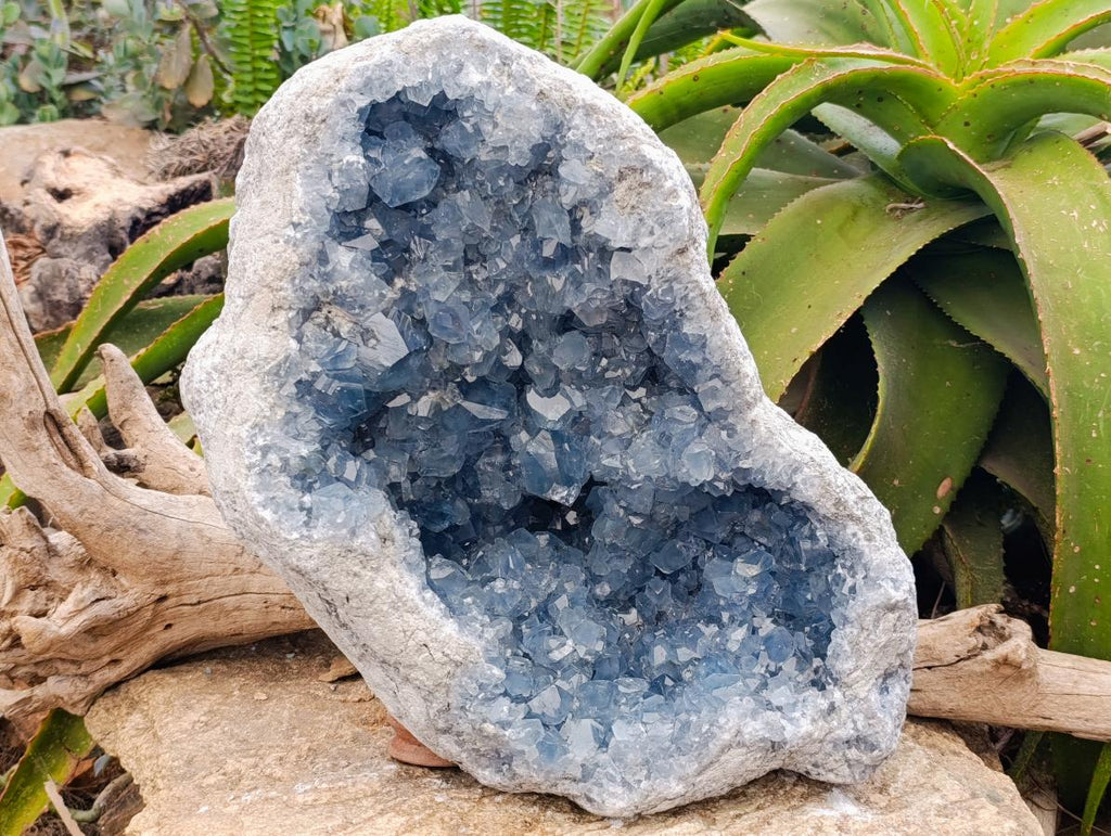 Natural XXL Blue Celestite Geode Specimen x 1 From Sakoany, Madagascar