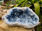 Natural XXL Blue Celestite Geode Specimen x 1 From Sakoany, Madagascar