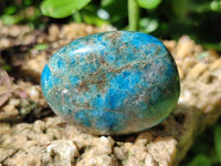 Polished Blue Apatite Galets x 12 From Madagascar