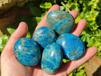 Polished Blue Apatite Galets x 12 From Madagascar
