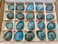 Polished Blue Apatite Galets x 12 From Madagascar