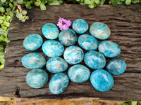 Polished Blue Apatite Galets x 12 From Madagascar