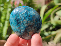 Polished Blue Apatite Galets x 12 From Madagascar