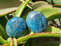 Polished Blue Apatite Galets x 12 From Madagascar