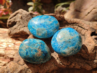 Polished Blue Apatite Galets x 12 From Madagascar