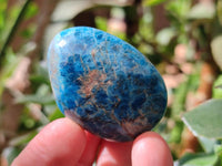 Polished Blue Apatite Galets x 12 From Madagascar