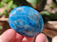 Polished Blue Apatite Galets x 12 From Madagascar