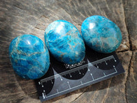 Polished Blue Apatite Galets x 12 From Madagascar