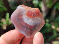 Polished On One Side Red Shashe River Agate Nodules x 35 From Shashe River, Zimbabwe