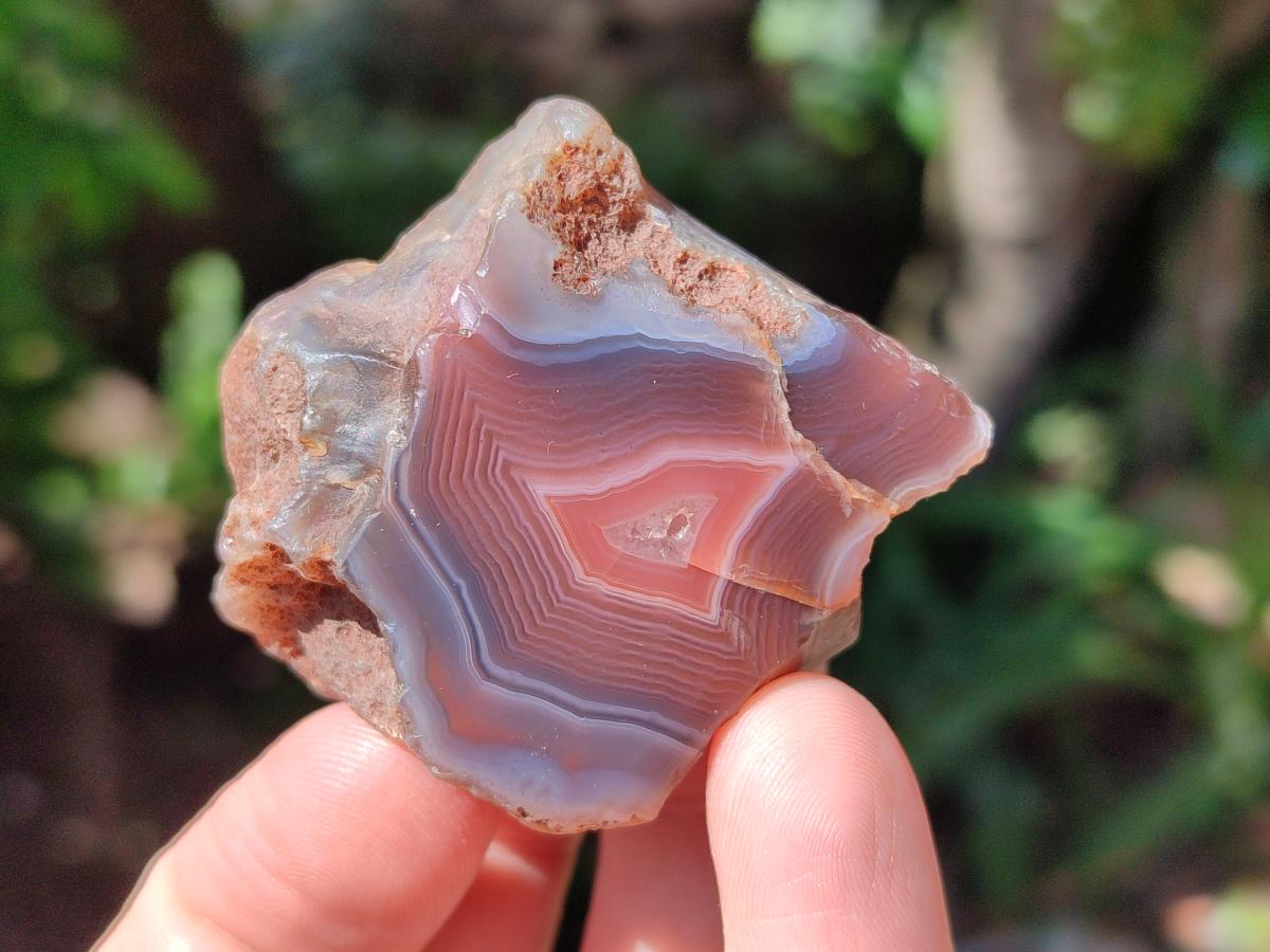 Polished On One Side Red Shashe River Agate Nodules x 35 From Shashe River, Zimbabwe