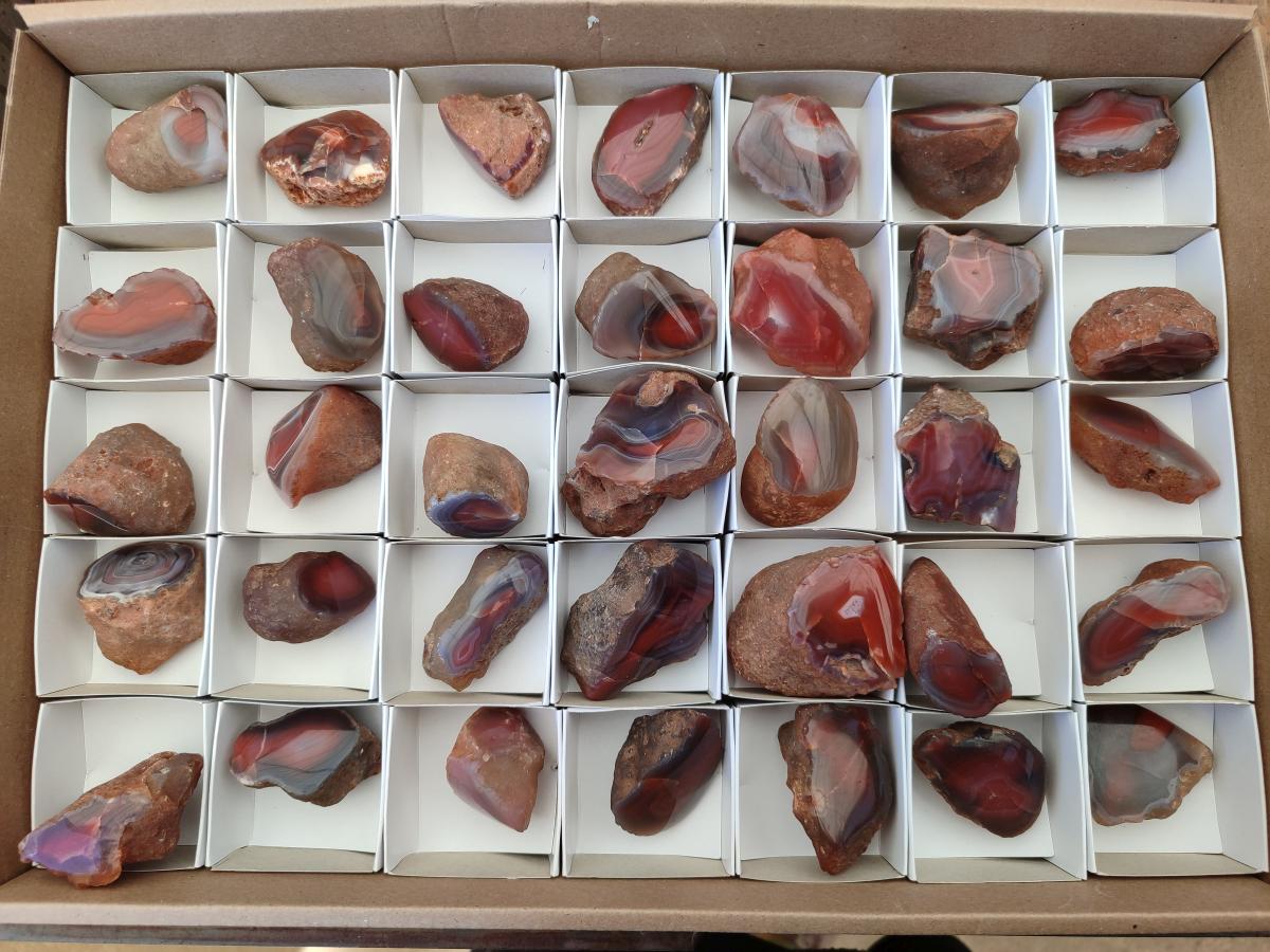 Polished On One Side Red Shashe River Agate Nodules x 35 From Shashe River, Zimbabwe