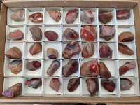 Polished On One Side Red Shashe River Agate Nodules x 35 From Shashe River, Zimbabwe
